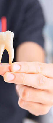 Your Smile Journey: Navigating Different Dental Procedures Your Smile Journey: Navigating Different Dental Procedures